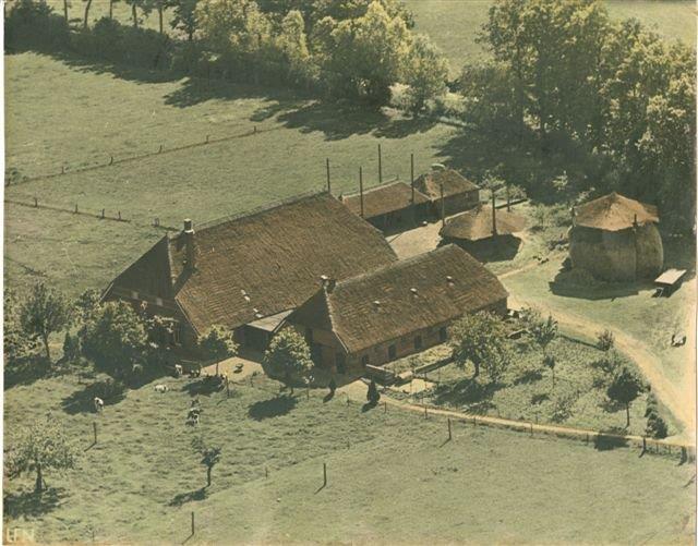 De Voorhorsthoeve rond 1950