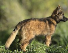 KELY -JAYCIE 18 Juli 2025